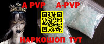 молекула духа Кингисепп