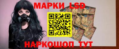 молекула духа Кингисепп