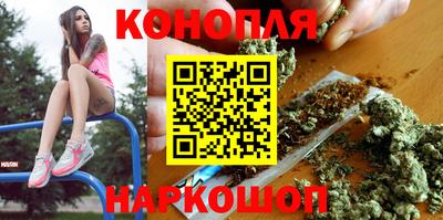 молекула духа Кингисепп