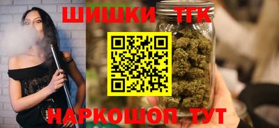 молекула духа Кингисепп