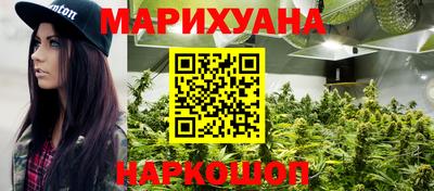 молекула духа Кингисепп