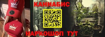молекула духа Кингисепп