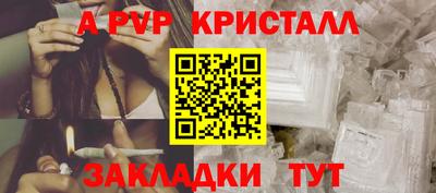 молекула духа Кингисепп