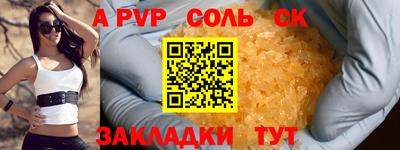 молекула духа Кингисепп
