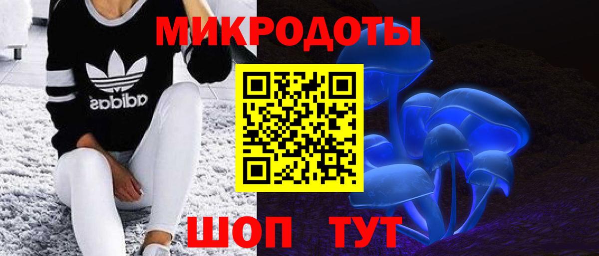 что такое наркотик  Вход с VPN  Кириши  Псилоцибиновые грибы GOLDEN TEACHER  Галлюциногенные грибы Psilocybine cubensis 